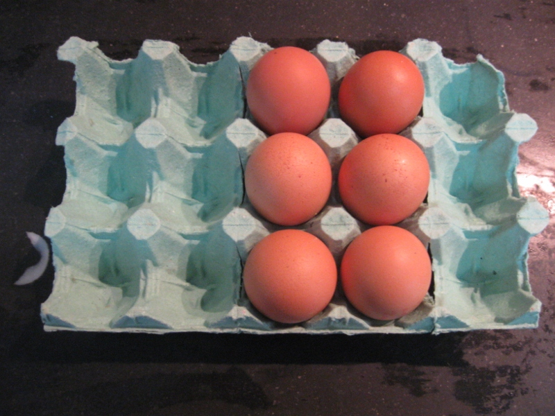 eggbox3 (800x600).jpg